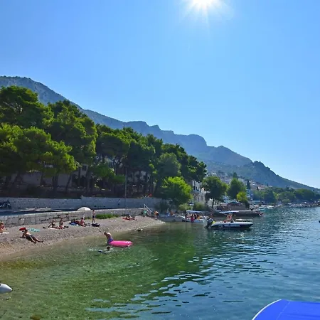 Pavkovic *